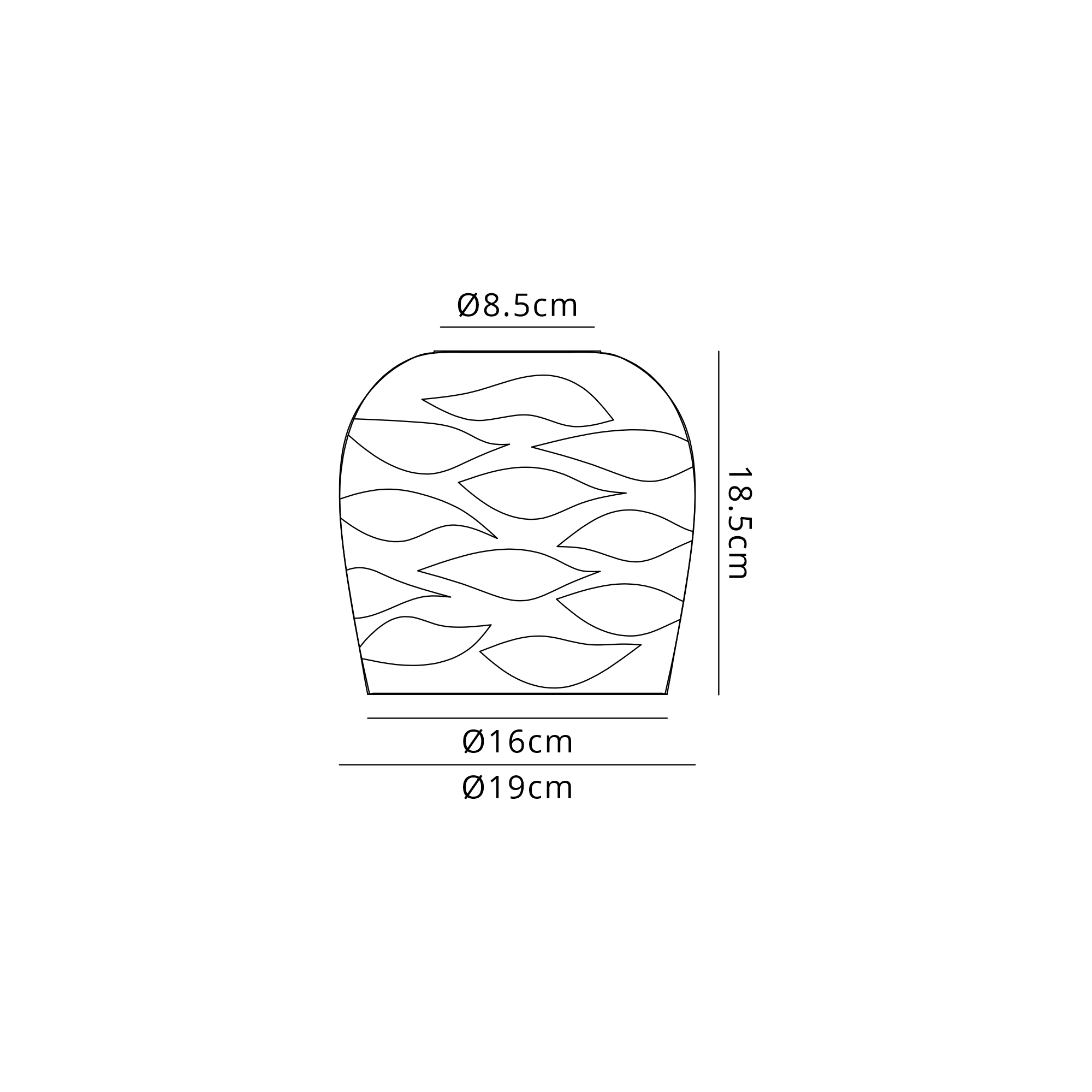 Hover Image