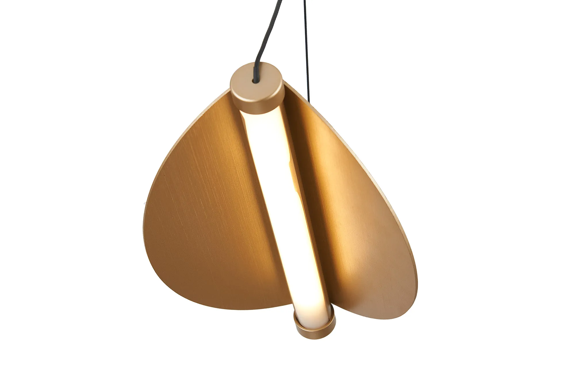 Hover Image