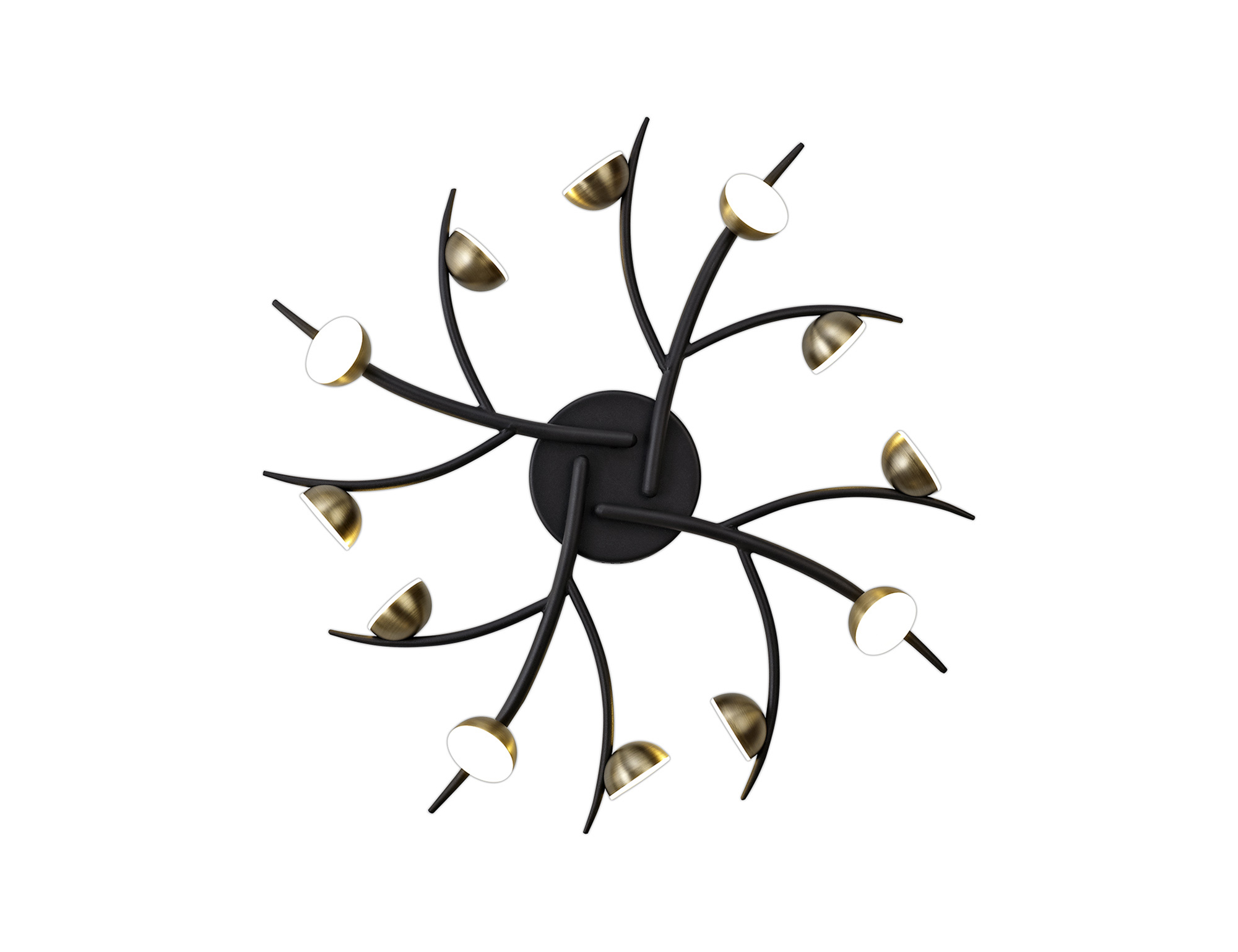 Hover Image