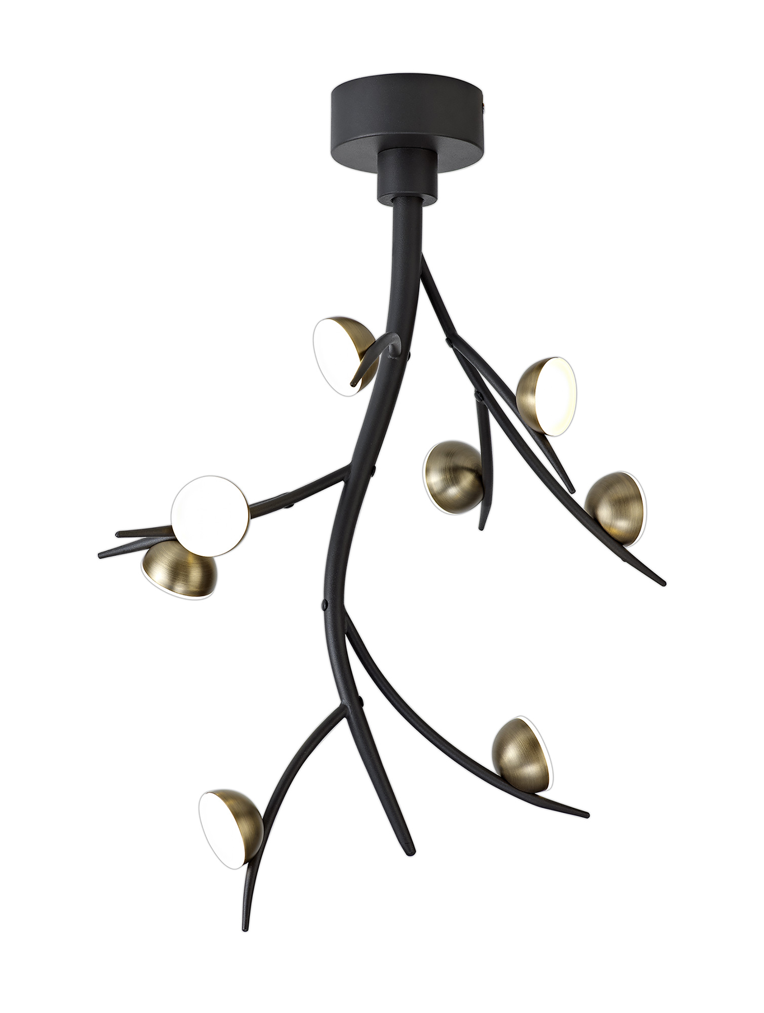 Hover Image