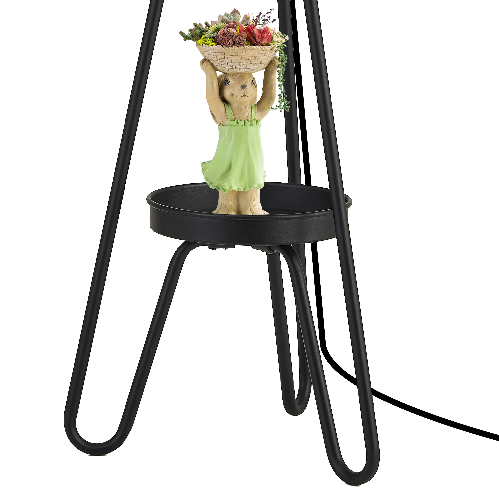 Hover Image