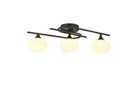 Hover Image