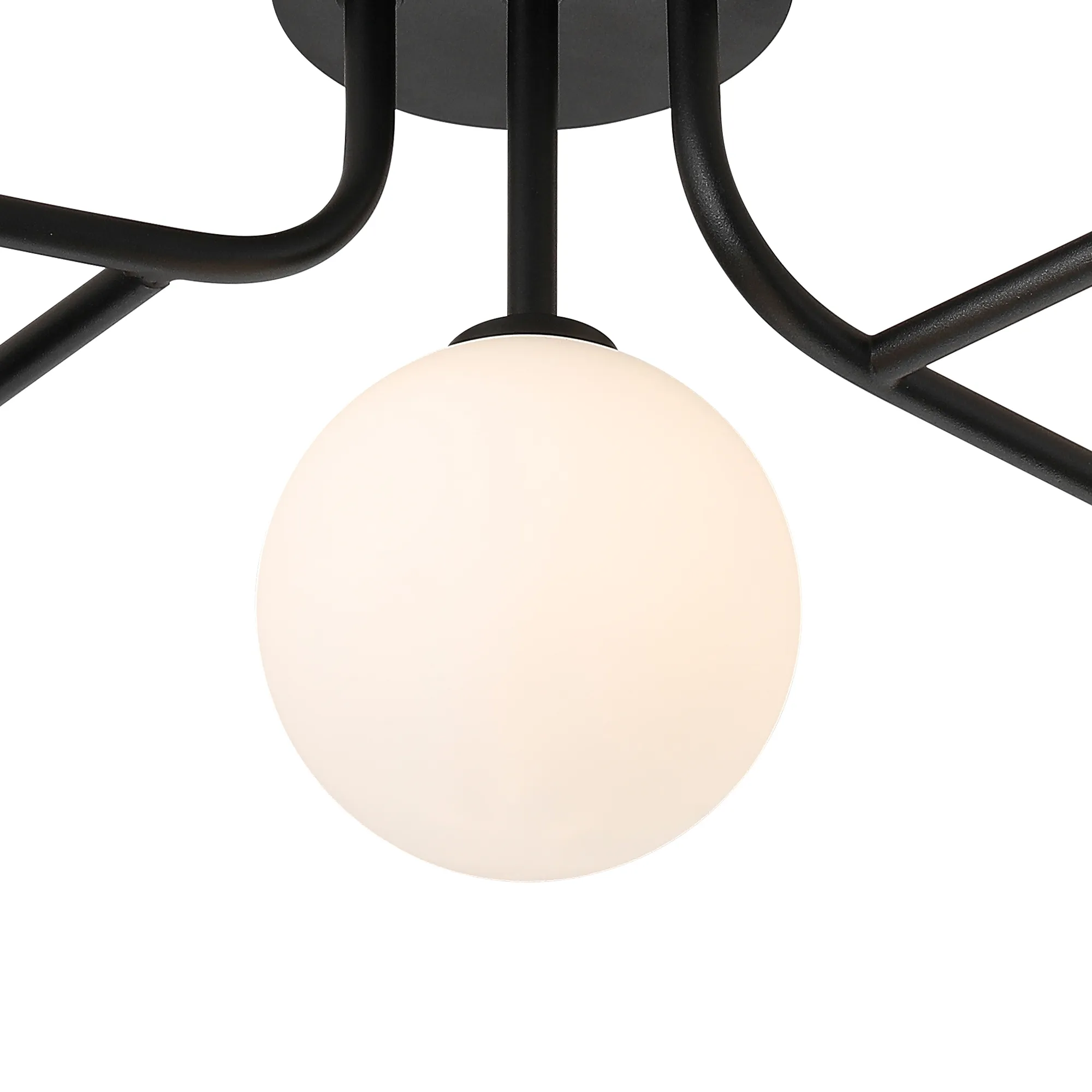 Hover Image