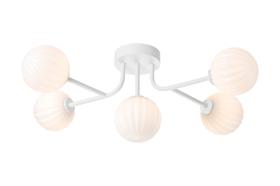 Hover Image