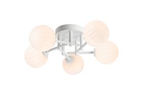 Hover Image
